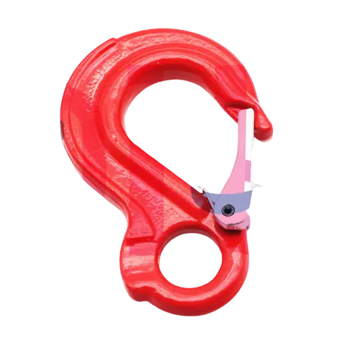 HACZYKI